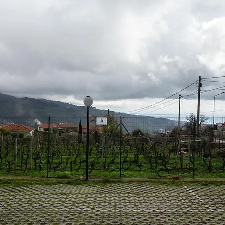 Gli Ulivi E Il Mare Diano Arentino