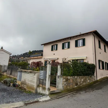 Gli Ulivi E Il Mare *